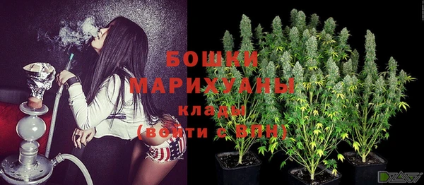индика Козловка
