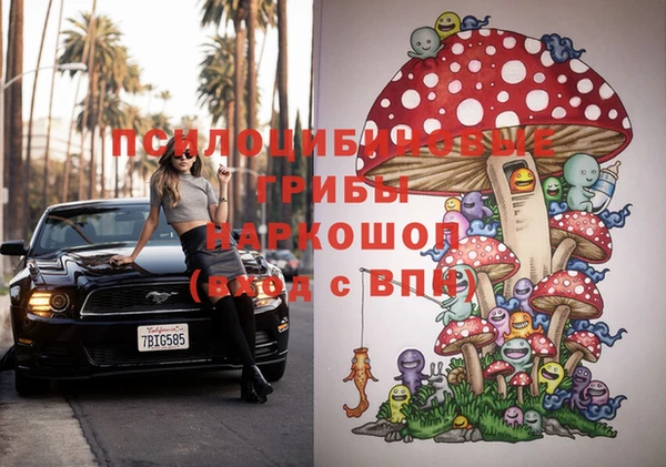 гидропоника Белокуриха